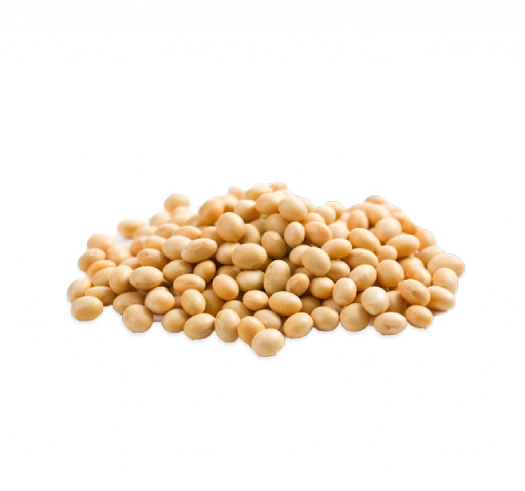 The hydrolysed soy protein